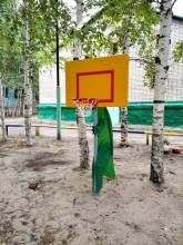 Стойка с баскетбольным щитом «Дино» АФ-299