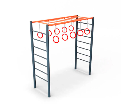 Рукоход с кольцами ДВ221