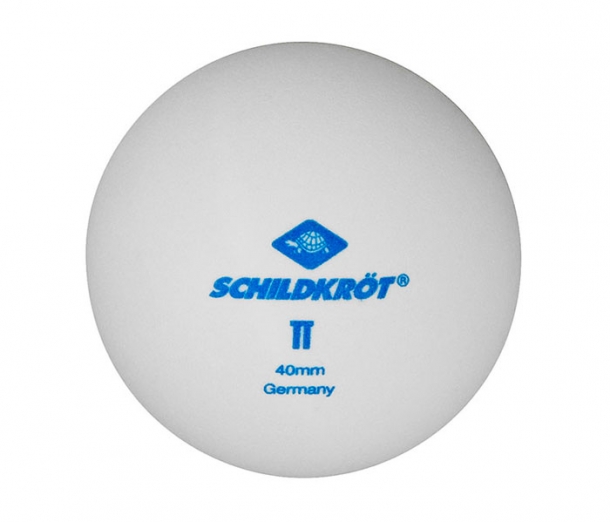 Мячики для настольного тенниса 2TС, 6 шт, белый ДР51